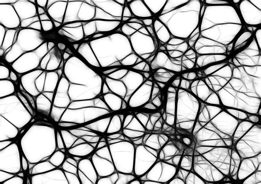 neurons, abstract, brain cells-440660.jpg